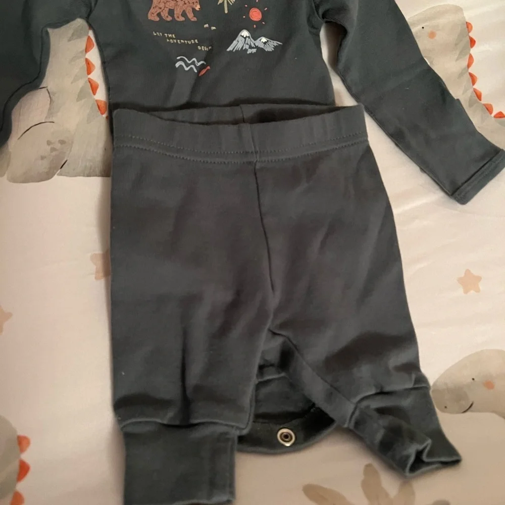 Carter’s Dinosaur and Bear Print Baby Onesies Set